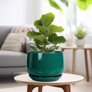G EPGardening Ceramic Pots for Plants - 9 Inch Ceramic Planter for Indoor Plants, Round Planter with Drainage and Saucer, Modern Flower Pots for Outdoor, House Decor, Garden Gifts, Green by GreenHaven Gardens
