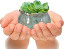 Laerjin Succulent Pots, 4 Inch Ceramic Plant Pots and Drainage Hole with Bamboo Tray, Colorful Flower Planter Pot, Pack of 6, Plants Not Included by GreenHaven Gardens