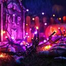 Brizled Orange & Purple Halloween Lights, 33ft 100 LED Halloween Lights 5mm Wide Angle String Light, 120V UL Certified Connectable Mini Purple Light Outdoor for Party Home Tree Decoration, Black Wire by TinyTreasures Baby Boutique