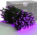 HOME LIGHTING 66ft Halloween Decorative Mini Lights, 200 LED Green Wire Fairy Starry String Lights Plug in, 8 Lighting Modes, for Indoor Outdoor Xmas Tree Wedding Party Decoration (Purple) by TinyTreasures Baby Boutique