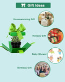 vensovo 48 Pcs 2" Tiny Ceramic Plant Pots with Drainage Hole - Black Small Mini Ceramic Pottery Planter Ideal for Indoor/Outdoor Plants, Crafts, Wedding Favors by GreenHaven Gardens