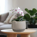 G EPGardening Ceramic Pots for Plants 7 Inch - Large Ceramic Planters for Indoor Plants Outdoor Modern Flower Pot with Drainage Holes and Saucer for Office Garden Patio Grey by GreenHaven Gardens