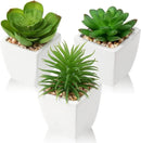 Hollyone Succulents Plants Artificial 3Pcs Small Fake Succulents in Pots Faux Plastic Potted Plants with White Ceramic Pot for Home Decor Classroom Office Bathroom Shelf Indoor & Outdoor Decorations by GreenHaven Gardens