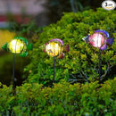 Outdoor Garden Solar Lights,3Pack Decorative Solar Lights for Garden Decor,Sea Fish Backyard Decor,Led Solar Lights with Stakes for Yard Landscape Patio(21.3''H) by GreenHaven Gardens