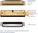 Randon Gold Harmonica Key of C, 10 Holes Diatonic Harmonicas for Adults/Kids/Beginners, Blues Harmonica as Gift, with Case, Clean Cloth and Manual by TinyTreasures Baby Boutique
