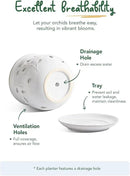LE TAUCI Ceramic Orchid Pot, 6.5 Inch Orchid Pots with Holes, Orchid Planter for Repotting, Indoor Flower Plant Pot with Drainage and Saucer, White by GreenHaven Gardens