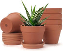 6 PCS Clay pots and Plates, 5-inch red Clay pots with Drainage, Perfect for Indoor, windowsill, and Garden Plants by GreenHaven Gardens