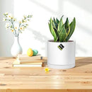 Aveyas 8 inch Ceramic Plant Pot with Drainage Hole and Saucer - Suitable for Indoor and Outdoor Use, Modern Planters for House Garden Flower Tree Snake Monstera Plants (8", Matte White) by GreenHaven Gardens