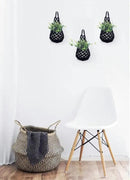 3PK Wall Planters for Indoor Plants, Macrame Plant Hanger | Wall Planter, Plant Hanger, Hanging Planter (3PK, for 4 inch Pot) by CozyNest Decor