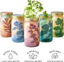 Modern Sprout New & Improved Mason Jar Grow Set 6pk, Indoor Herb Garden, Seed Starter Set, Organic Seeds, Hydroponic Growing (Basil + Mint + Parsley + Cilantro + Rosemary+ Lavender) by GreenHaven Gardens