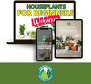 Leaf Cleaner Wipes for House Plants - Sparkling Leaf Shine for Indoor Plants - Houseplant Resource Center Plant Cleaning Wipes for Leaves - Root and Plant Duster Wipes (30 Count) by GreenHaven Gardens