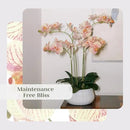 Faux Orange Orchid Plant, Premium Artificial Indoor Flower Display Stands 23”, Beautiful Sculptural Blooms That Lasts Forever, White Planter Pot Included by CozyNest Decor