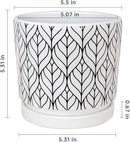 Ton Sin Plant Pots,5.5 Inch White Pots for Indoor Plants with Drainage Holes,Cylinder Flower Pot Ceramic Planters with Saucer,Cactus Succulent Outdoor Garden Pots Set of 4 by GreenHaven Gardens