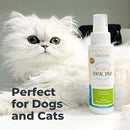 Oxyfresh Advanced Pet Dental Spray – Instant Dog and Cat Fresh Breath: Easiest No Brushing Pet Dental Solution for Dogs and Cats – Best Way to Fight Plaque, Keep Teeth & Gums Healthy, 8oz. by CozyNest Decor