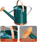 Metal Watering Can, One Gallon Watering Cans Stainless Steel for Outdoor Indoor Garden Plants Watering (One Gallon Green Decorative Strip) by GreenHaven Gardens