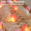9.85Ft String Lights with 20 Pink Heart LEDs 20 Pink Pom Poms Garland Lights with Timer Valentine Decoration for Home Kid Bedroom Mother's Day Wedding Party Valentine's Day Decor by CozyNest Decor