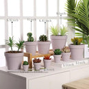 Yishang 36 pcs Small Mini Pink Clay Pots, 2.5'' Terracotta Pot Clay Ceramic Pottery Planter,Cactus Flower Terra Cotta Pots,Succulents Nursery Pots,with Drainage Hole,Great for Crafts,Wedding Favor by GreenHaven Gardens
