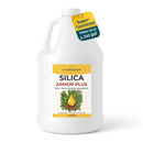 Silica for Plants with Humic Acid – Liquid Houseplant Fertilizer & Plant Food for Indoor Potted Plants – Monstera, Pothos & Tropical Indoor Plants, Water Soluble Nutrients (1 Gallon) by GreenHaven Gardens