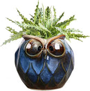GeLive Blue Owl Ceramic Succulent Planter with Drainage Hole Animal Plant Pot Tabletop Decoration Vase Window Box Indoor Outdoor Decor (Blue) by GreenHaven Gardens
