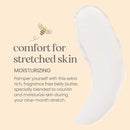Burt's Bees Mama Belly Butter Stretch Mark Cream for Pregnancy Massages Body & Reduces Scar Appearance, Prenatal & Postnatal Tummy Skin Care, Shea Butter & Vitamin E Rich Formula, 6.5 Oz (Pack of 3) by TinyTreasures Baby Boutique