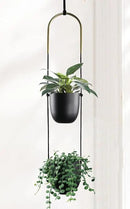 Modern Metal Hanging Planter for Indoor Outdoor Plants with Hook 2 Tier Boho Wall and Ceiling Flower Pots Baskets Holder Home Office Decor(Black) by GreenHaven Gardens