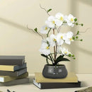 White Orchid Artificial Flowers with Gray Vase Large Silk Faux Phalaenopsis Flowers for Dining Room Table Floral Centerpieces Indoor Decoration by CozyNest Decor
