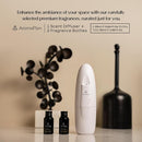 AromaPlan Authentic 2025 Upgraded Plug in Waterless Diffuser (2 Fragrances Included) -Cold Air & Nanotechnology Diffusers for Home & Office- Silent Wall Diffuser Plug in (1 Device +2 Scents) by TinyTreasures Baby Boutique