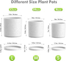 12/10/8 inch Large Plant Pots, 3 Pack Cylinder Deep Flower Pots for Outdoor Indoor Plants, Tall Plastic Planters with Drainage Holes and Saucers for Garden House Plants, Speckled White by GreenHaven Gardens