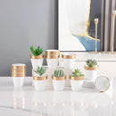 Yishang 72 pcs Small Mini White&Gold Clay Pots, 2.5'' Terracotta Pot Clay Ceramic Pottery Planter,Cactus Flower Terra Cotta Pots,Succulents Nursery Pots,with Drainage Hole,for Crafts,Wedding Favor by GreenHaven Gardens