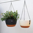 3 Pack Plastic Hanging Planters Set ,8.3 Inch Hanging Flower Plant Pot with Drainage Hole for Indoor Outdoor Plants, Round Hanging Basket with Removable tray for Home Garden Porch Balcony Patio Decor by GreenHaven Gardens