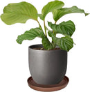 Ceramic Plant Saucer Pot Tray 10 Inch, Planter Saucers 4 5 6 7 8 9 10 11 12 13 Inch for Indoors Outdoor, Durable Sturdy Flower Drainage drip Water Tray for Glazed Pots Base (10.7 Inch-Brown) by GreenHaven Gardens