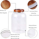 Large Glass Food Canisters, 66 FL OZ(1950ml) Kitchen Serving Stoarge Container with Airtight Acacia Lids, Cereal Dispenser Jars for Spaghetti Pasta, Powder, Spice, Tea, Coffee(7.6inch high) by CozyNest Decor