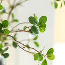 ucky Artificial Realistic Eucalyptus Stems，Decoration Greenery Stems ，43 Inch 4 Pcs, Realistic Touch Flexible Branches, Green Fake Plant, for Home Decor Tables Vases Garden Decoration by CozyNest Decor