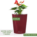 Dexceder 6x7 Self Watering Planter Indoor Outdoor, High Gloss Table Flower Plant Pot with Water Level Indicator (Wine Red) by CozyNest Decor