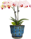 6 inch Round Ceramic Orchid Pot with Holes Orchid Planter (Dark Blue) by GreenHaven Gardens