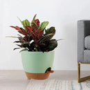 Large Self Watering Pots, 12/10/9 Plastic Planters with High Drainage Holes and Deep Reservoir for Indoor Outdoor Garden Plants and Flowers, Green with Brown by GreenHaven Gardens