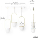 Umbra Triflora Hanging Planter for Window, Indoor Herb Garden, Set of 3, White/Brass by GreenHaven Gardens