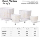 Ceramic Plant Pots with Drainage Holes and Saucers, Round Flower Pots for Indoor Plant, Diameter 3.3/4.3/5.5 Inches Small Flower Planters Set of 3 by CozyNest Decor