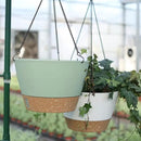 ZMTECH 2 Pack 10 Inch Hanging Planters for Outdoor Plants, Hanging Pots for Plants Indoor with Visible Water Level, Hanging Flower Basket with Drainage Holes & Removable Tray(Green) by CozyNest Decor