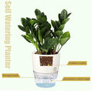 Vanavazon 6 Inch Self Watering Planter Pots for Indoor Plants, 3 Pack African Violet Pots with Wick Rope-White by CozyNest Decor