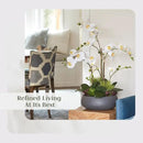 Faux Orchid Plant w/Succulents, Premium Artificial Indoor Flower Display Stands 24” w/Beautiful Sculptural Blooms and Succulents That Lasts Forever, Grey Planter Pot Included by CozyNest Decor