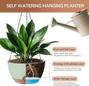 12 Inch Hanging Baskets for Plants Outdoor, Hanging Planters for Indoor Outdoor Plants, Hanging Planter with Self Watering, Hanging Flower Pots (Green) by GreenHaven Gardens