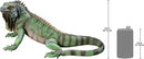 Design Toscano Iggy The Iguana Indoor/Outdoor Garden Statue, Large, 22 Inch Long, Cast Stone Resin, Full Color Finish by GreenHaven Gardens