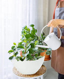 LaDoVita Plant Pots with Drainage Holes, 12 Inch Large Planters for Indoor Plants, Plastic Flower Pots Outdoor, 2 Pack, White