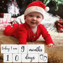 Baby Monthly Milestone Blocks for Boy or Girl, Milestones Age Photo Block Set for Baby Shower, Pregnancy Countdown, 7 Pcs by TinyTreasures Baby Boutique