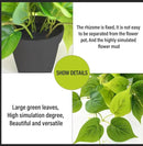 Tiita 1 Pack Fake Plants Artificial Scindapsus Aureus in Pots, Realistic Fake Greenery Potted Plants for Home Office Desk Window Sill Bathroom Bedroom Outdoor Indoor by CozyNest Decor