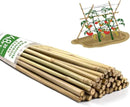 Bamboo Stakes,4.8FT Natural Bamboo Garden Stakes,BOVITRO 20Pcs Bamboo Plant Stakes,Bamboo Sticks for Tomato,Beans,Vegetable and Climbing Plants by GreenHaven Gardens