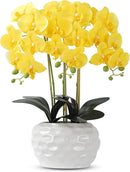 Orchid Artificial Flowers with White Vase Large Silk Faux Phalaenopsis Flowers for Dining Room Table Floral Centerpieces Indoor Decoration,Yellow by CozyNest Decor