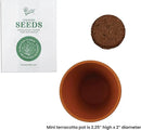 Buzzy Seeds Terracotta Mini Grow Pots | Herb, Plant, Flower Starter Kit for Kids & Adults | Assorted 20-Pack, | Lavender Seeds Guaranteed to Grow | Best Indoor Grow Your Own Plant Gardening Gift by GreenHaven Gardens