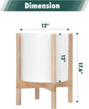 D'vine Dev Planter Pot with Stand - 12 Inch Plastic Cylinder Flower Pot with Wood Planter Holder for Indoor, Matte White Pot + Natural Stand, 55-C-P-1 by GreenHaven Gardens
